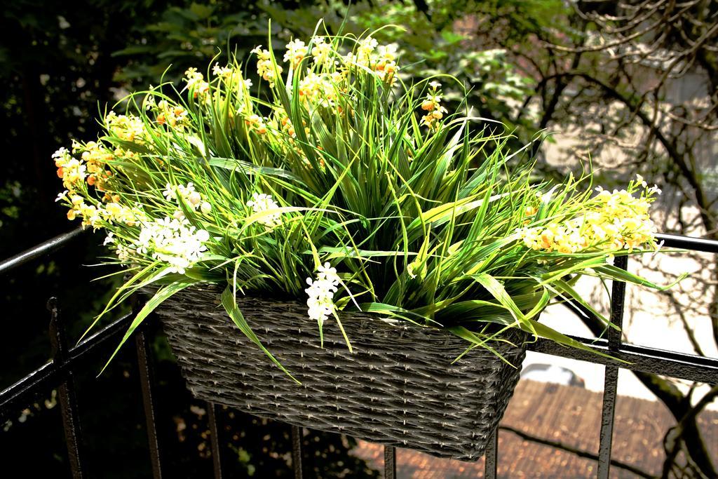 זאגרב Flowers City Center Apartments חדר תמונה